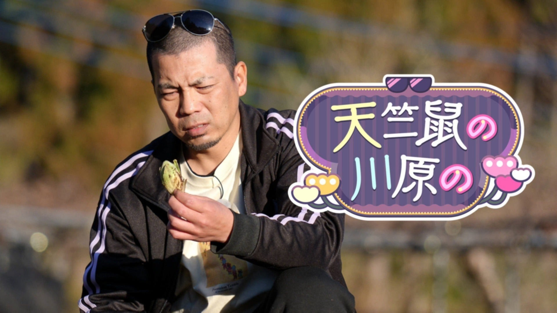 天竺鼠の川原の